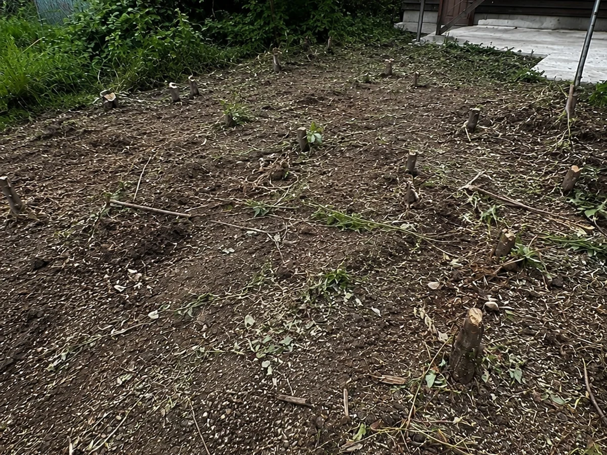 Cleared outdoor work area after a real Flying Flamingo shed teardown