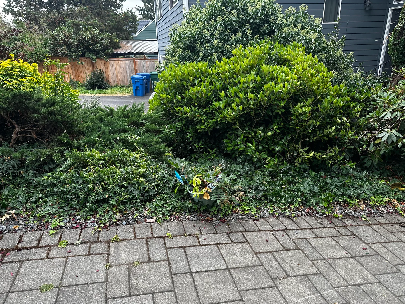 The same landscaped edge and paved walkway clear after the collapsed fence section was removed