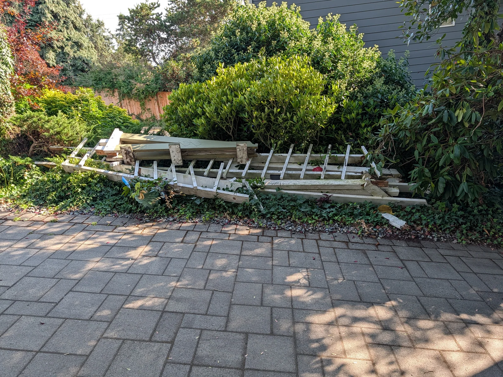 Collapsed wooden fence section along a landscaped edge beside a paved walkway before removal