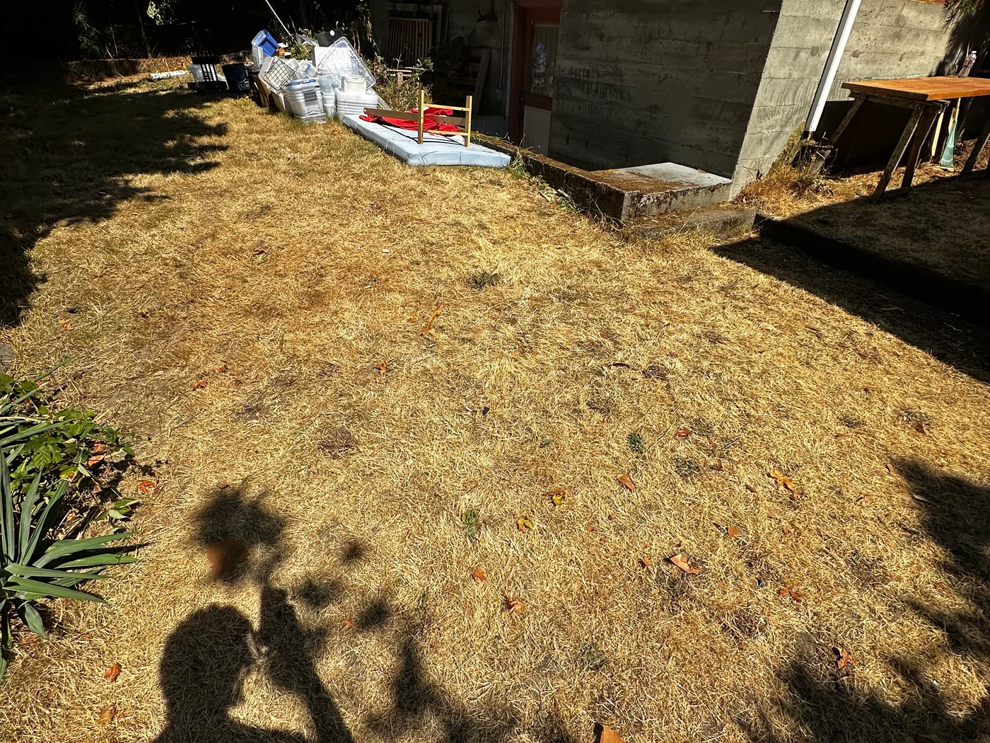 Ground beside a brick building after the main pile of frames and cardboard was removed
