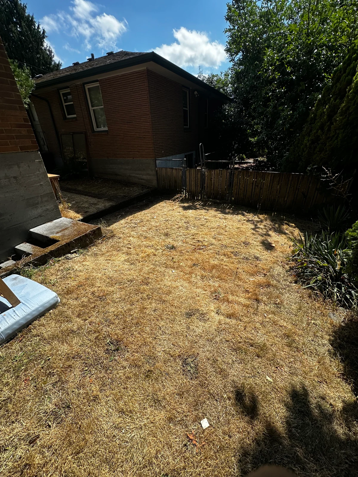 Wider view of the yard after the main frame and cardboard pile was hauled away