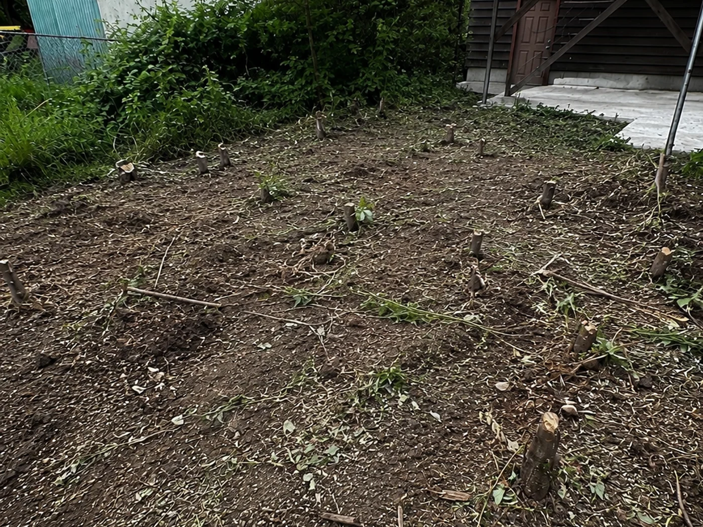 The same outdoor work area after the dismantled shed material was removed