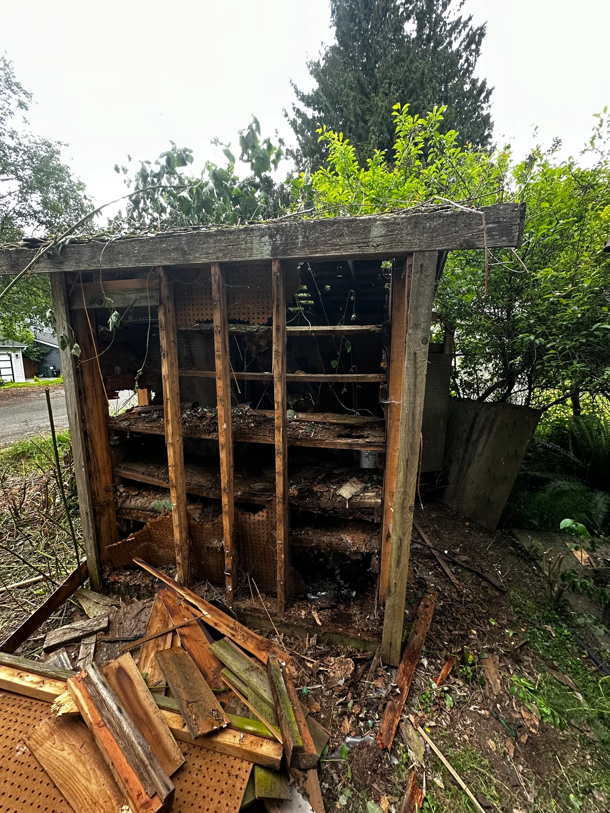 Shed partially dismantled during the project