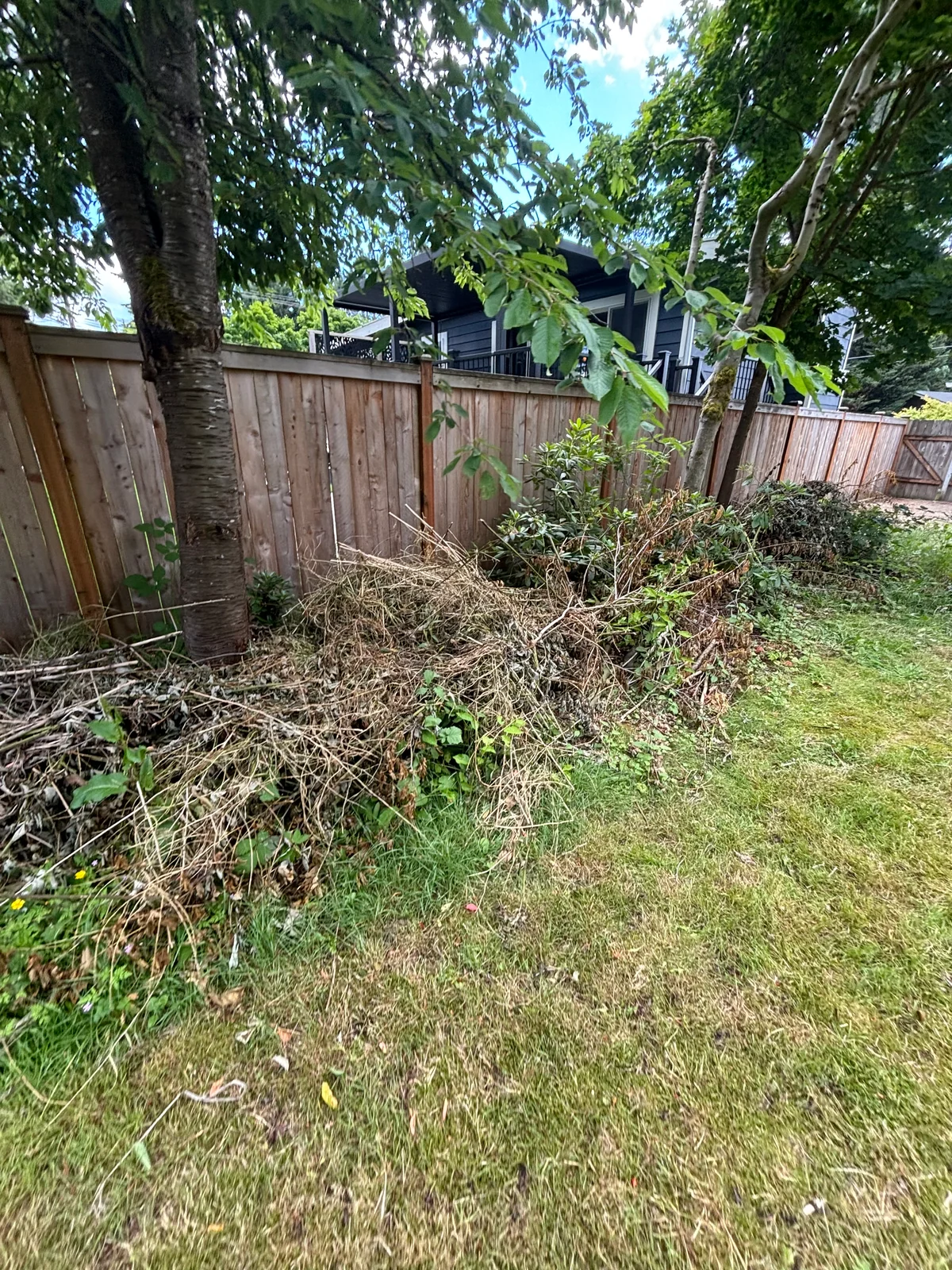 A long pile of branches and yard debris beside a fence