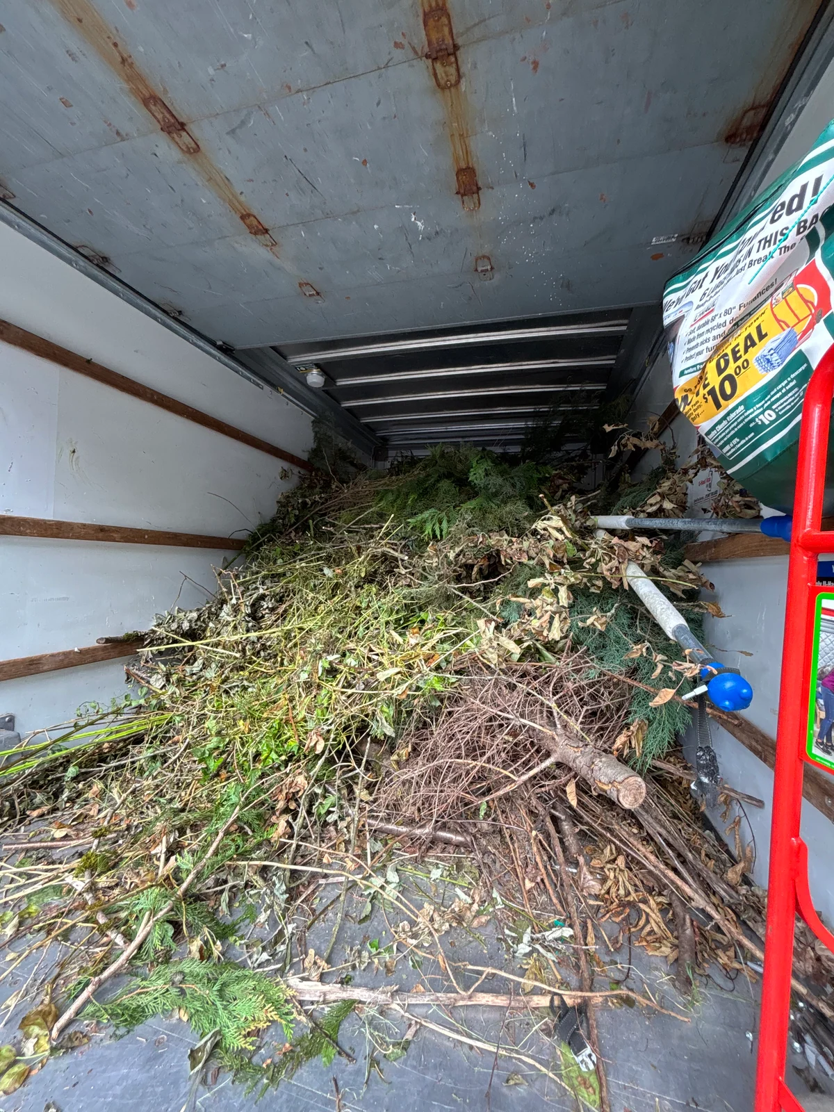 Branches and yard debris loaded into a removal truck